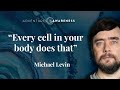 Michael levin  you think the brain is unique