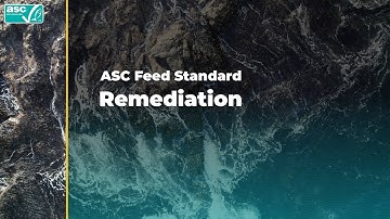 ASC Feed Standard: Remediation Process