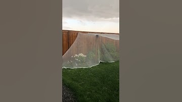 Hail Defense Netting In Action