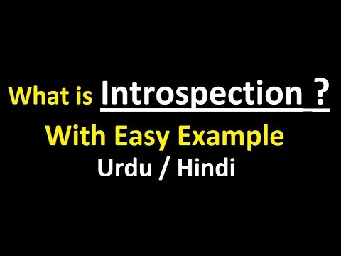 What is Introspection With Example | Urdu / Hindi