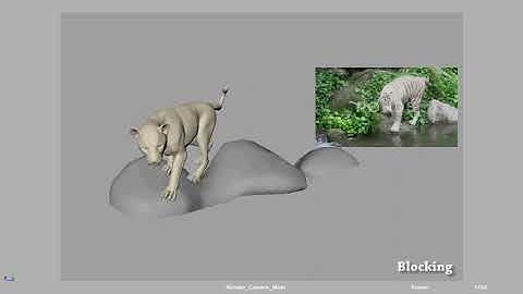 TCS Academy Animation Skill Test