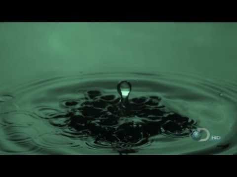 ||| Emotional Music Motion Touch - Full Bloom with Drop of Water |||