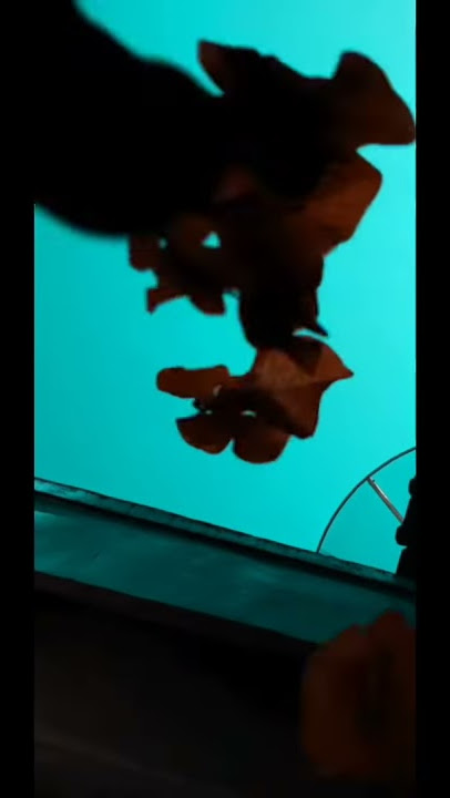 Slow motion Story Wa Keren