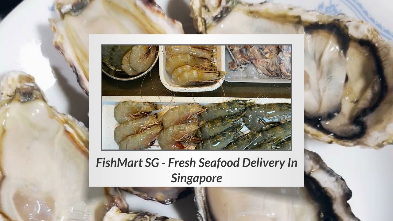 fresh fish delivery Singapore YouTube