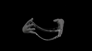 Procedural Spider Web FX using Houdini VEX (HIP Only)