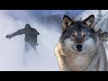 Стая волков остервенело рыла снег, пытаясь освободить альпинистов из смертельной ловушки