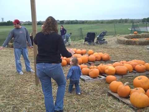 Finley at the pumpkin patch