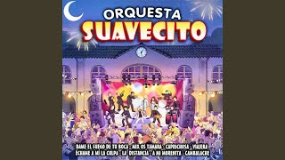Video thumbnail of "Orquesta Suavecito - Brindo por Tu Traición"