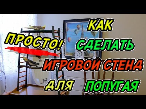 Как сделать самому игровой стенд для попугая