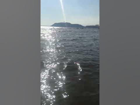 Квадратные волны - YouTube