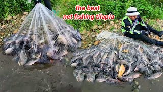 the best net fishing Tilapia || collection of the best mesh videos