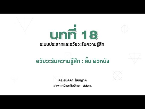 วีดีโอ: อะไรคือหน้าที่ของลิ้นในฐานะอวัยวะรับความรู้สึก?