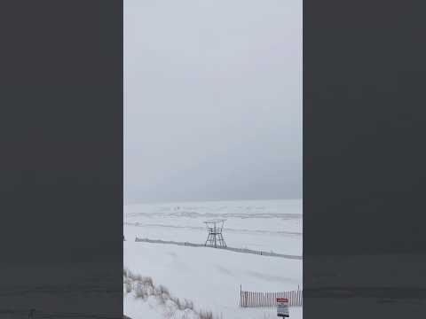 Grand Bend Beach,