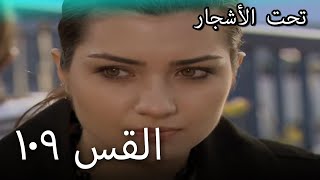 109 سنوات الضياع