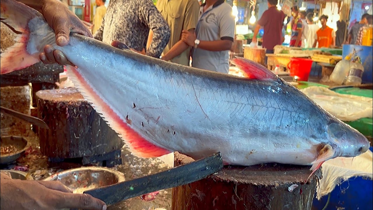 Pankash Fish Big Pangas Fish Cutting In Bangladesh Fish Market | Fish Cutting Skills ...