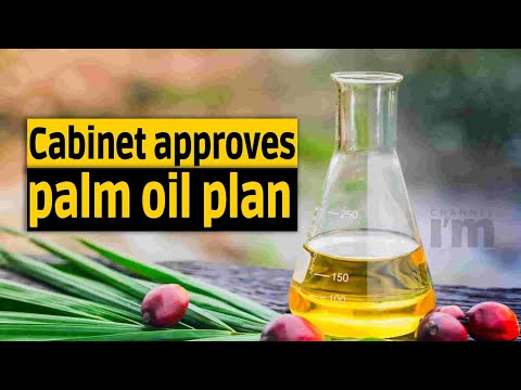 Cabinet approves palm oil plan