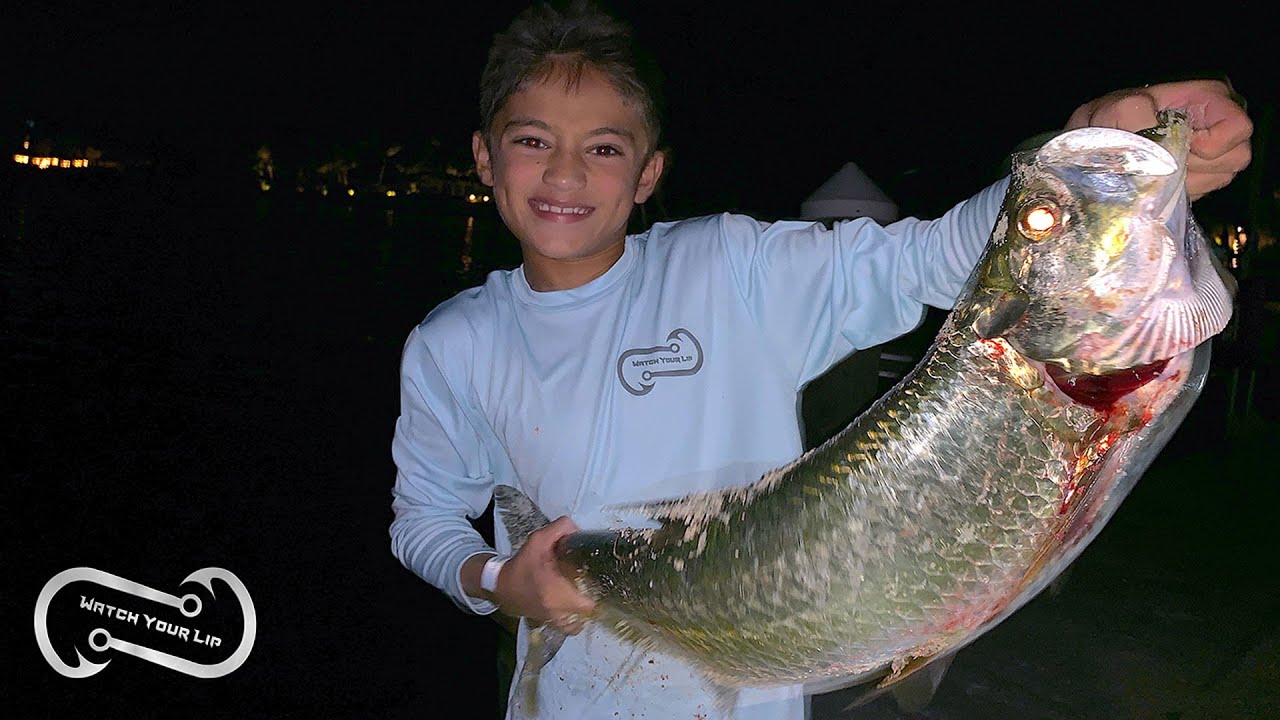 FEEDING FRENZY (TARPON SNAPPER SHARK) AT DOCK - FLORIDA KEYS