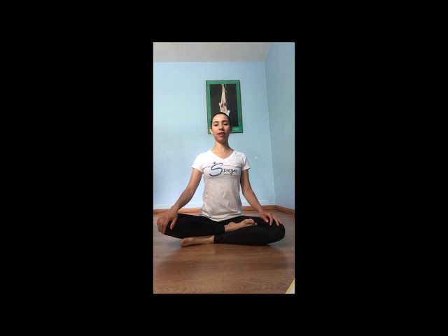 Rutina diaria antes de dormir o realizar tu rutina fisica. mejorar tu postura y coordina tu respiracion, esta sencilla r