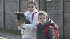 Hayat Dediğin - Yavru Köpek