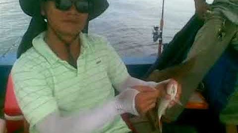 Hieuhq- Châu câu Phèn trớn