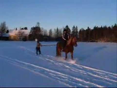 Tolkning 2007