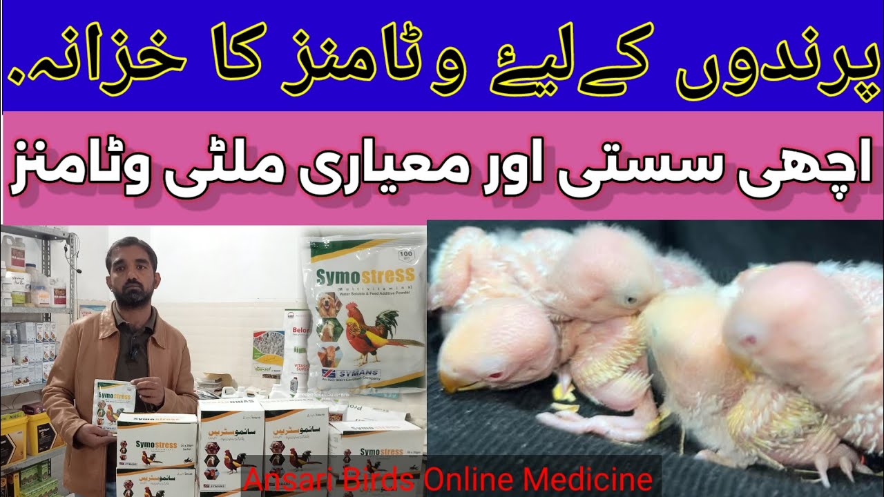 Birds Vitamins | symostress birds multivitamins | use and benefits for all kind of Birds and poultry
