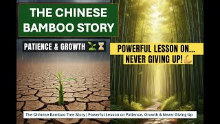 The Chinese Bamboo Tree Story | Powerful Lesson on Patience, Growth & Never Giving Up