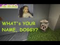 MINECRAFT - house tour and 1st day with my new dog!