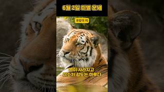 2024년 6월 2일 일요일 띠별 운세 #오늘운세 #내일운세 #띠운세