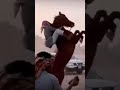 صحيح ماكل من خذ خيل فارس وخيال Love Beautiful Happy جزل القصيد شعر 