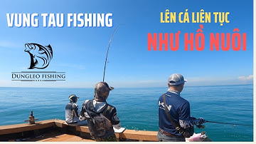 CÂU JIGGING CÁ CHÉT VŨNG TÀU,  CHỈ CẦN THẢ JIG LÀ LỤM , CÂU CÁ VŨNG TÀU, DUNGLEO FSIHING TV