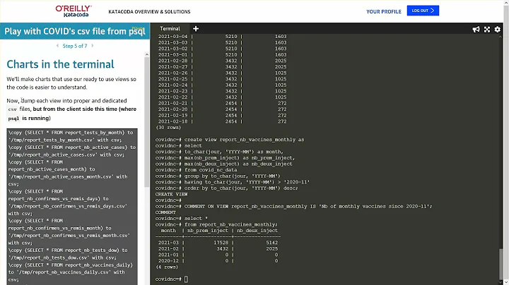 Getting COVID data into Postgres and draw charts in the terminal