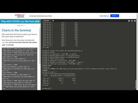 Getting COVID data into Postgres and draw charts in the terminal