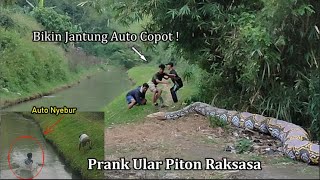 JANTUNG AUTO COPOT !!! PRANK ULAR PITON RAKSASA  LEPAS DI JALAN PADA LARI SEMUA 😄