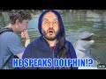 Xiaoma Speaks Dolphin Now? LOL