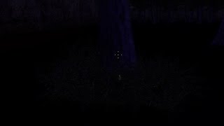 Ze_Random_V9 (Secrets) - Bush