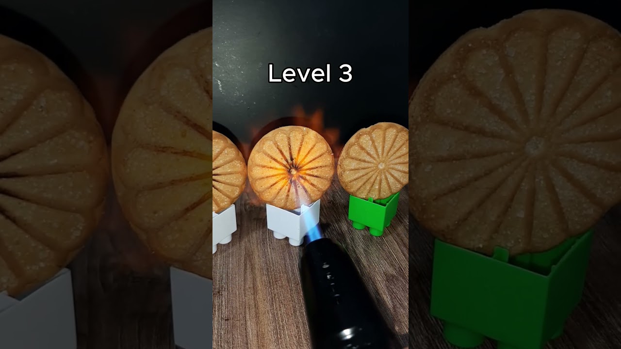 Cookie vs Extreme Fire! 🍪🔥 Will It Crumble or Melt? 