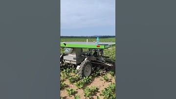 Field Demo Of Weeding Robot in Germany || Made By FarmDroid Denmark || #shorts