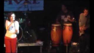 Loop Doctors - Love To You Live 2007