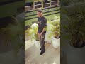 #trendingmodel #explorepage #goviral