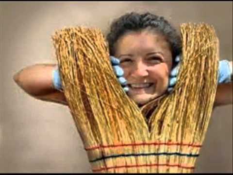 ეძღვნებათ ქოცებს