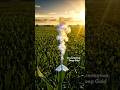 The Invisible Plume (Wind Tunnel View). #facts #farmereducation #farmer #agrifuture #trending #short