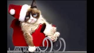 The 6 Best Things About ‘Grumpy Cat’s Worst Christmas Ever’
