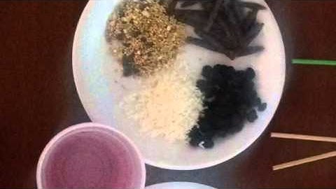 Bird Beak Adaptation