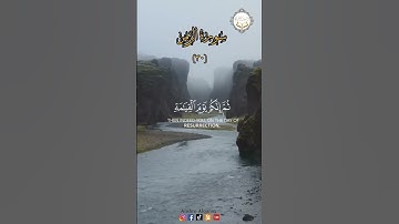 سوره الزمر #انشروا_القران #اكسبلور #quranexplorer #quranverses #explore #quranismylife