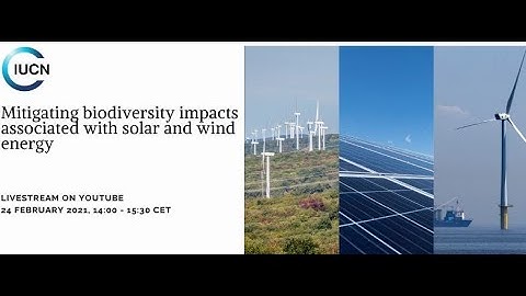 Mitigating biodiversity impacts associated with solar and wind energy
