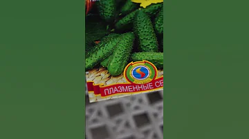 Что такое плазменные семена и зачем они нужны ✔️