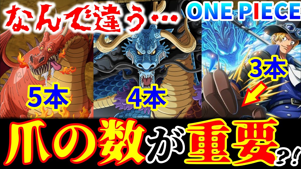 天竜人は2種類 幻獣 人 模様 ドラゴン がワンピースには登場しすぎ ドラゴンから読み解くワンピース Youtube