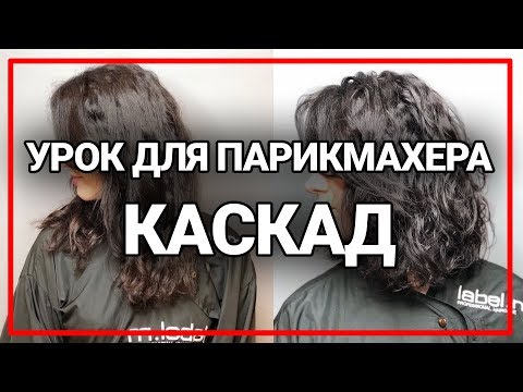 Как подстричь длинные вьющиеся волосы? каскад лесенка женская стрижка урок для парикмахера