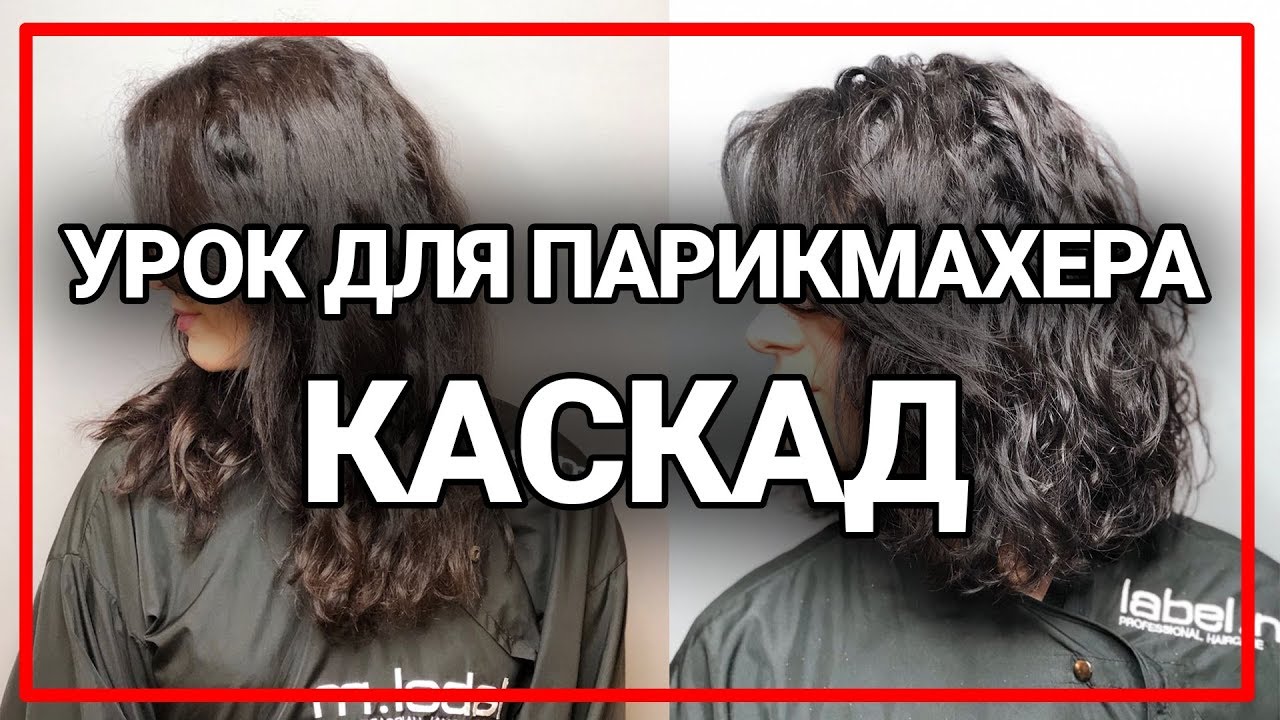 Как подстричь длинные вьющиеся волосы? каскад лесенка женская стрижка урок для парикмахера